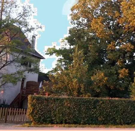 Bibi * Villeneuve-dʼAveyron