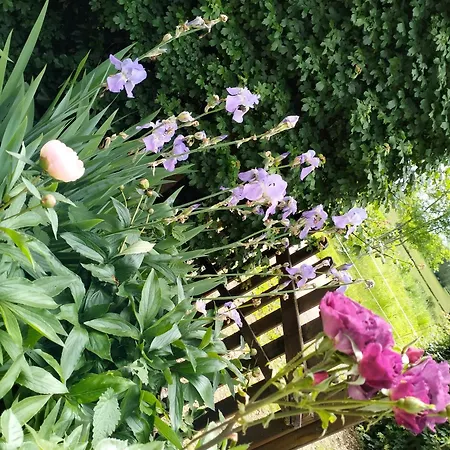 Bibi Σπίτι διακοπών Villeneuve-dʼAveyron