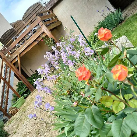 Σπίτι διακοπών Bibi