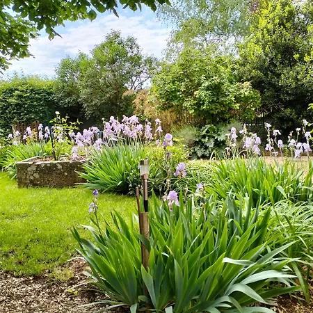 Bibi * Villeneuve-dʼAveyron