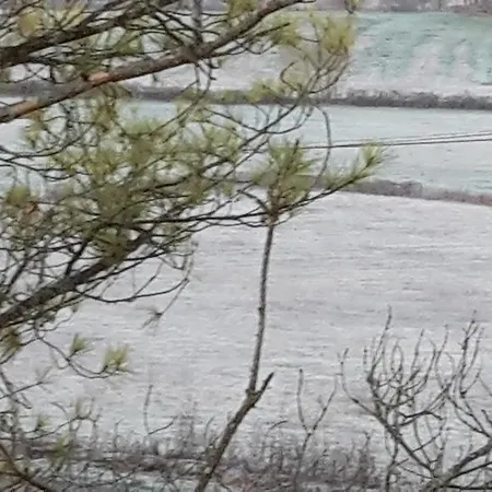 Bibi * Villeneuve-dʼAveyron