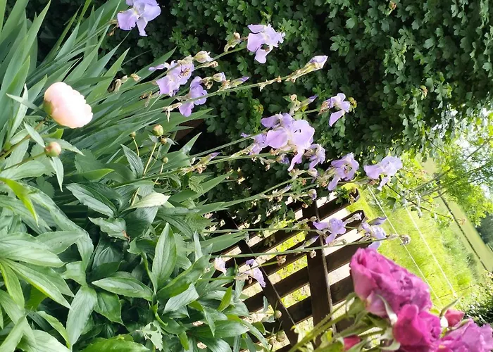 Bibi Nyaraló Villeneuve-dʼAveyron