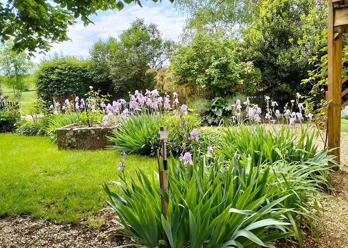 Bibi * Villeneuve-dʼAveyron