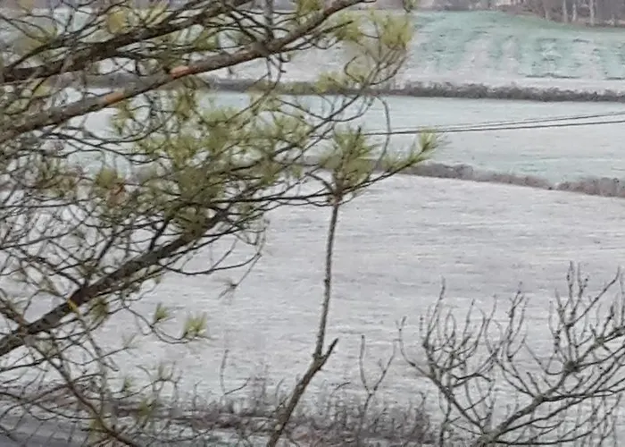 Bibi * Villeneuve-dʼAveyron